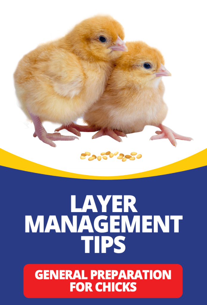 Poultry – Biyinzika Poultry Uganda Limited